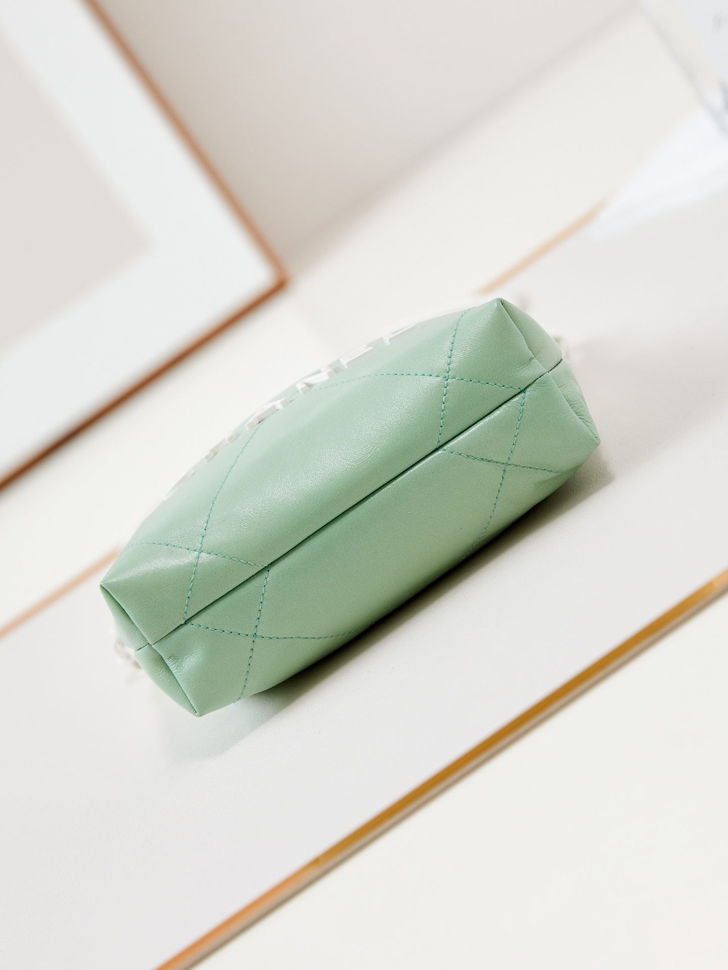 SAC HOBO CC MINI 20 EN CUIR DE VEAU BLANC MIX VERT CLAIR