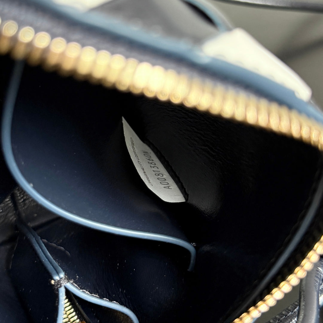 BOTTEGA VENETA 25S POCHETTE CONCERT 18 EN CUIR DE VEAU À MOTIF ZÈBRE AVEC ACCESSOIRES DORÉS